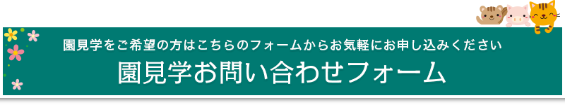 就職希望者用｜園見学お問い合わせ