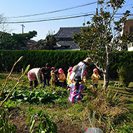 2017年11月6日